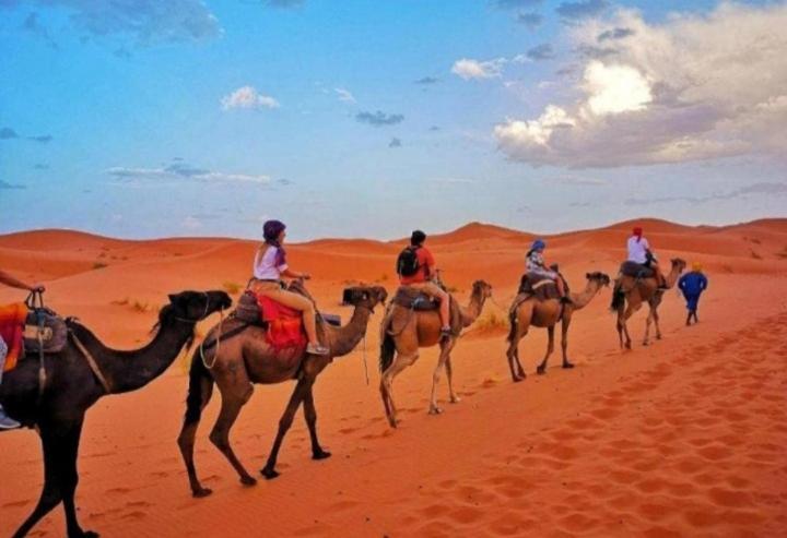 Desert Berber Fire Camp 메르주가 외부 사진
