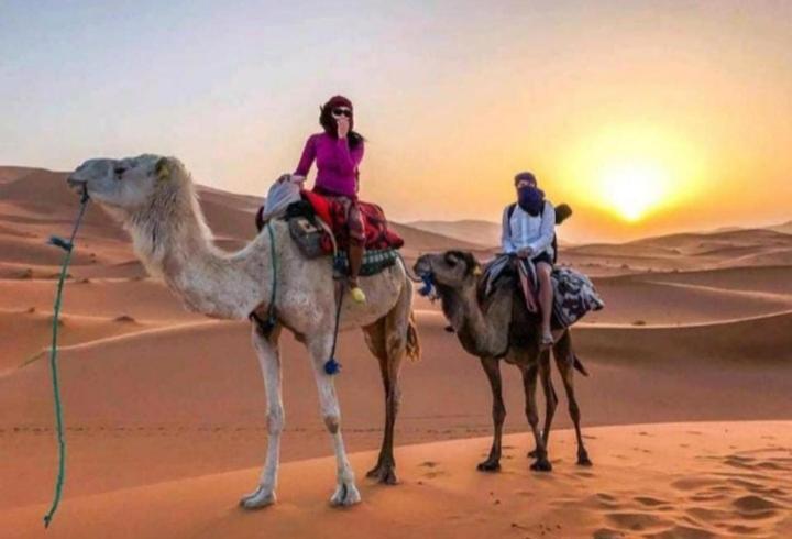 Desert Berber Fire Camp 메르주가 외부 사진