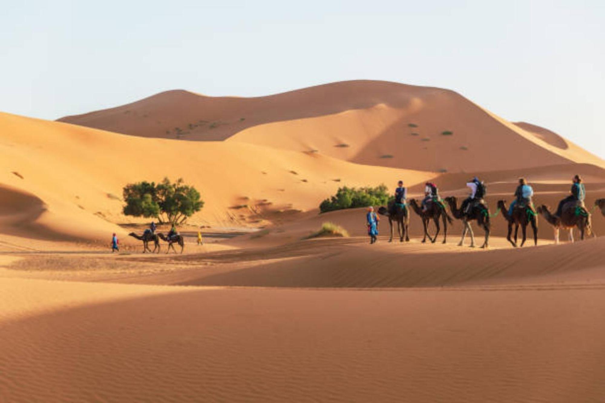 Desert Berber Fire Camp 메르주가 외부 사진